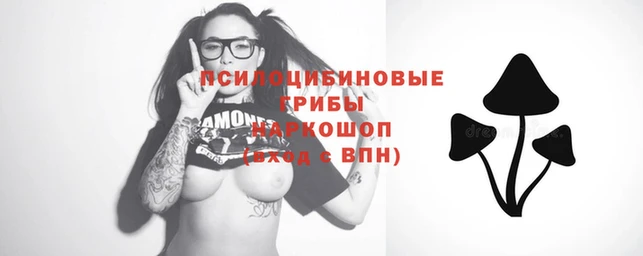 ешки Кукмор