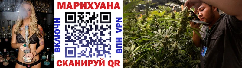 Бошки марихуана Amnesia Купить Жуковка